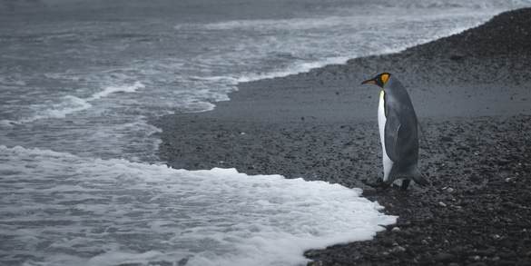 Seabourn Quest - Excursions 2, Credit. Taylor Gray.jpg